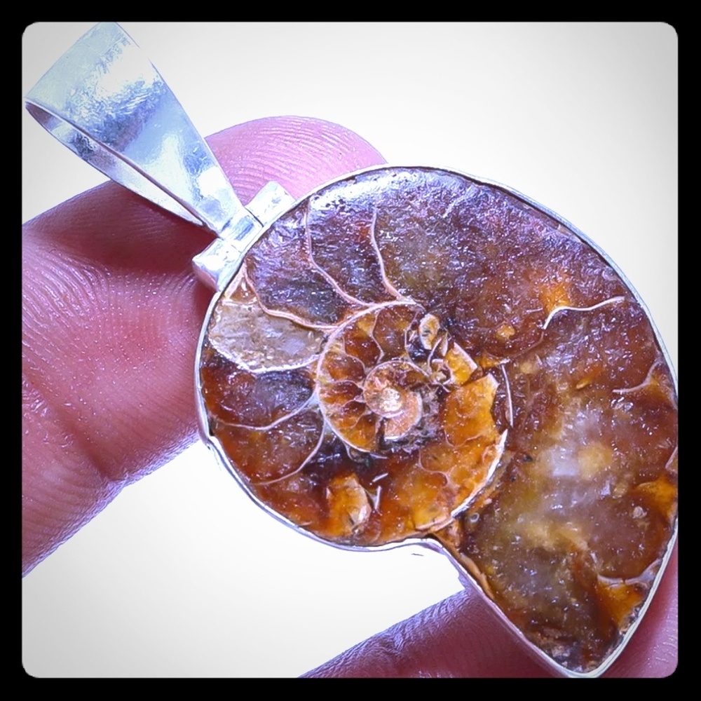 Spectacular Ammonite Gemstone 925 Silver Pendant